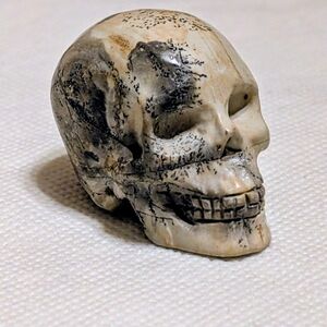 Artistic Skull Sculpture in Cream and Black
